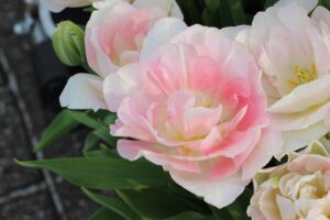 福島で産業医のバイトを探す際のポイントは？