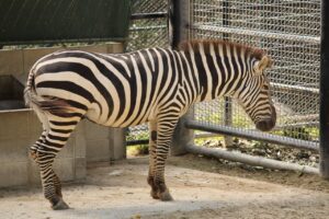 福岡で利用できる産業医派遣サービスのメリットは？