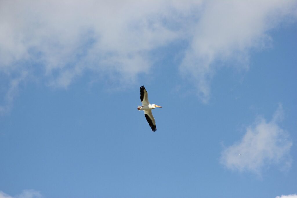 すぐ働けるアルバイトを見つけるためのポイントは？