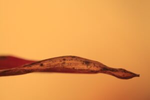 産業医の求人を探すためのおすすめスポットは？