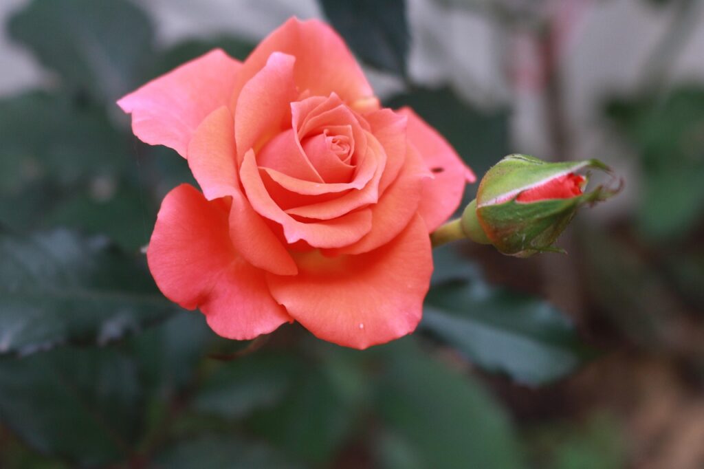 スポット産業の衛生委員会が取り組む課題とは？