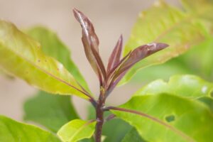 産業医に相談できる衛生スポットはどこにある委員会の役割は？