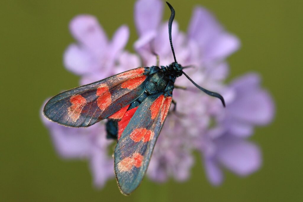 産業医を訪問する際のスポットとその頻度は？